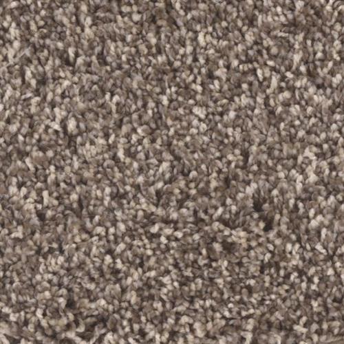 Microban® Polyester - Riverbend II by Phenix Carpet - Drift