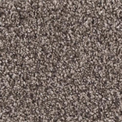Microban® Polyester - Riverbend II by Phenix Carpet - Rush