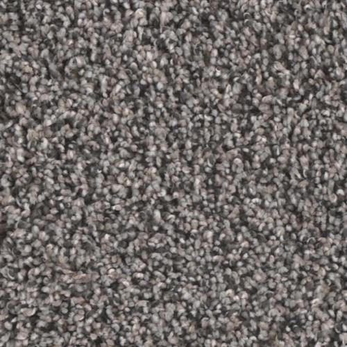 Microban® Polyester - Riverbend II by Phenix Carpet - Raceway