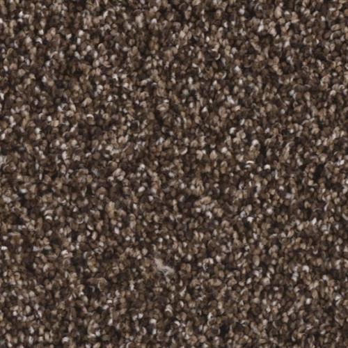 Microban® Polyester - Riverbend II by Phenix Carpet - Brisk