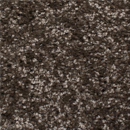 Microban® Polyester - First Light by Phenix Carpet - Velocity