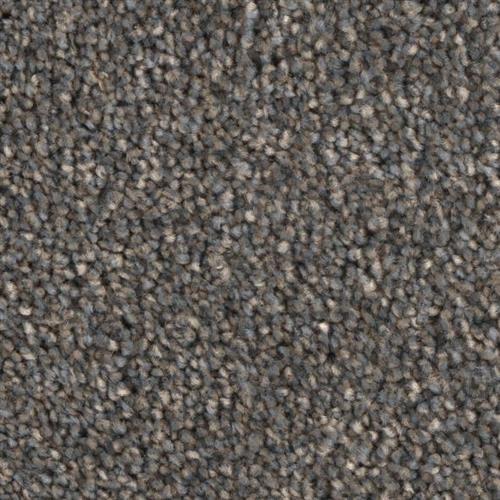 Microban® Polyester - Grand Champion by Phenix Carpet - Challenger