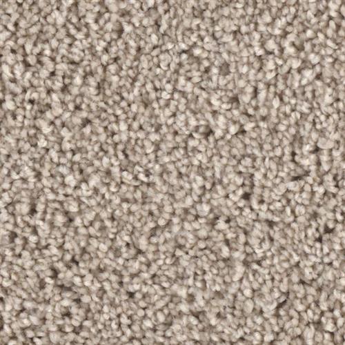 Microban® Polyester - Grand Champion by Phenix Carpet - Chart-Buster