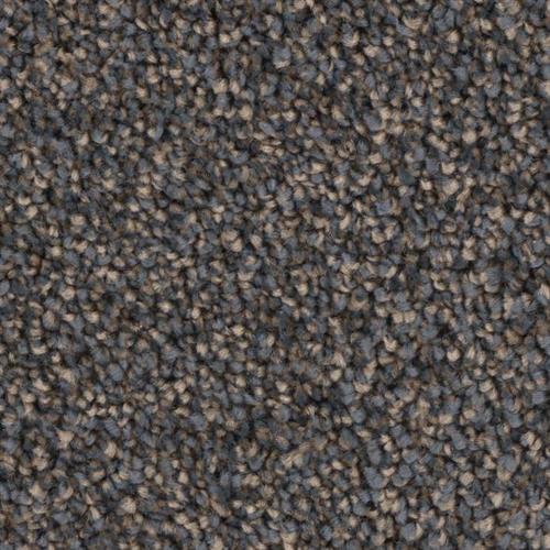 Microban® Polyester - Grand Champion by Phenix Carpet