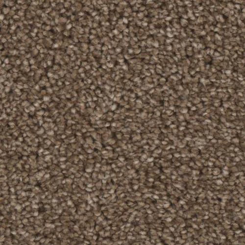 Microban® Polyester - Grand Champion by Phenix Carpet - Sensation