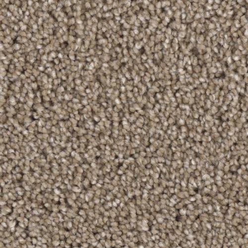 Microban® Polyester - Grand Champion by Phenix Carpet - Smash