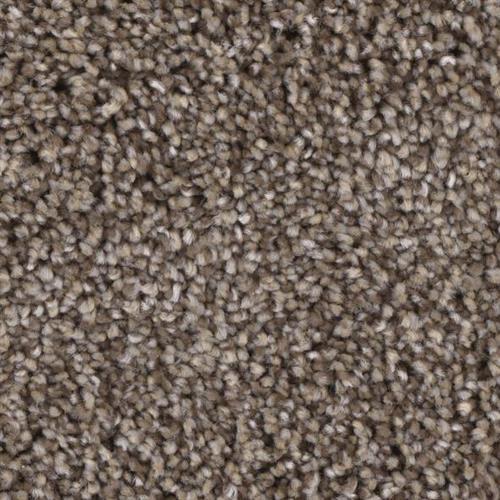 Microban® Polyester - Grand Champion by Phenix Carpet - Upholder
