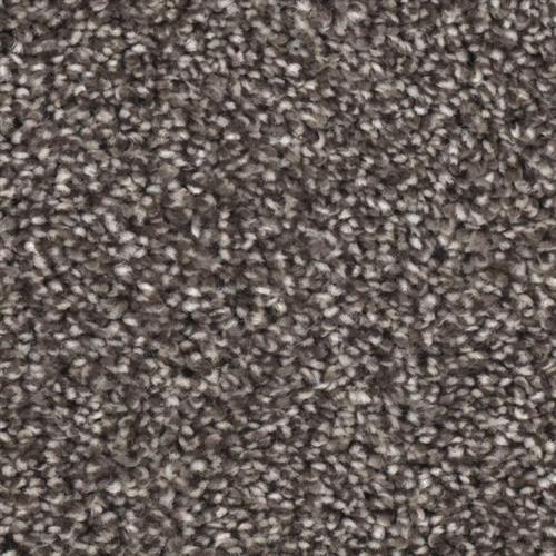 Microban® Polyester - Grand Champion by Phenix Carpet