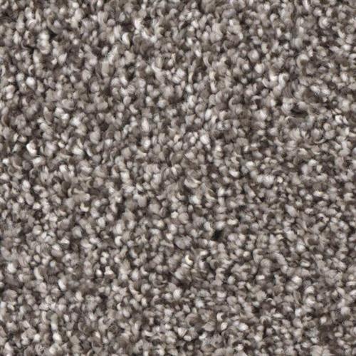 Microban® Polyester - Grand Champion by Phenix Carpet - Wizard