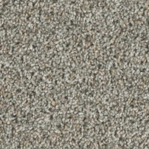 Accolades in Custom - Carpet by Phenix Flooring