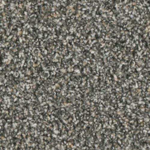 Accolades in Fringe Benefit - Carpet by Phenix Flooring