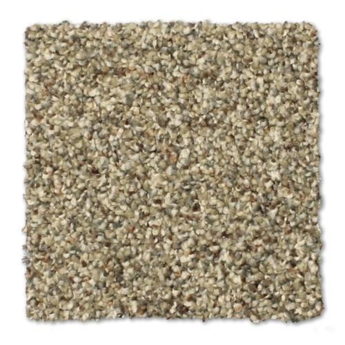Reed