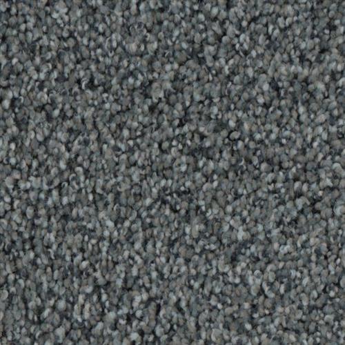 Gray Tint