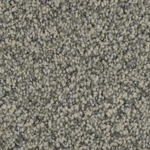 Room Scene of Fascination - Carpet by Phenix Flooring