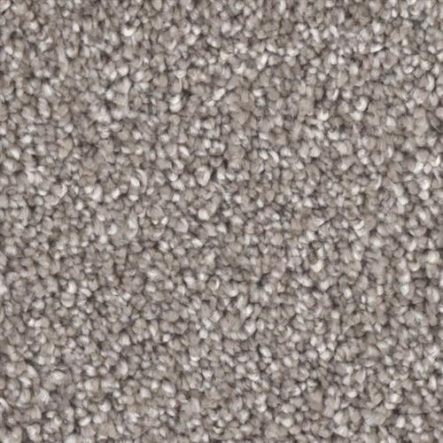 Microban® Polyester - Front Runner by Phenix Carpet - Patron