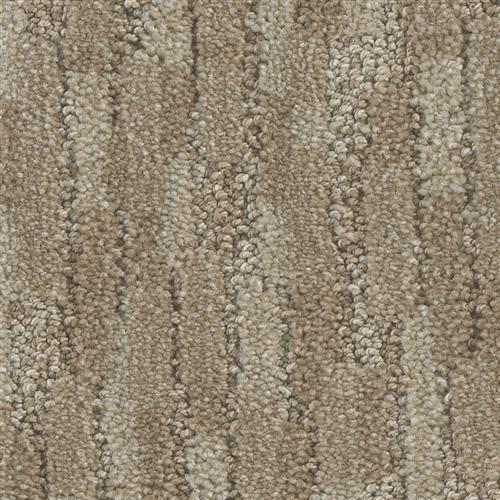 Carpet In Charlotte North Carolina Carpet Vidalondon