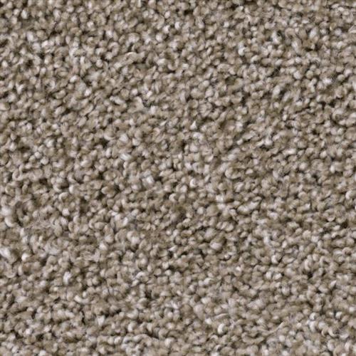 Room Scene of Refined - Carpet by Phenix Flooring