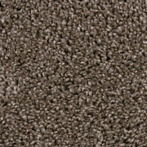 Room Scene of Refined - Carpet by Phenix Flooring