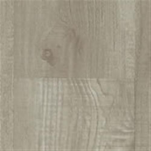 Arrowroot