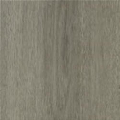 Canyon Gray