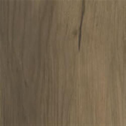 Winchester Brown