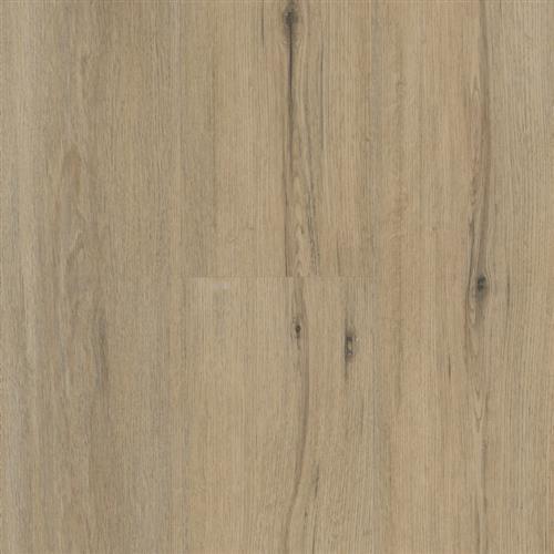 Butterscotch Oak