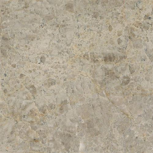 Natural Quartzite - Natural Stone Slab Savoie