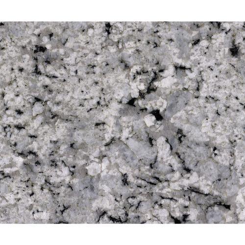 Natural Stone Slab - Granite Palladium White