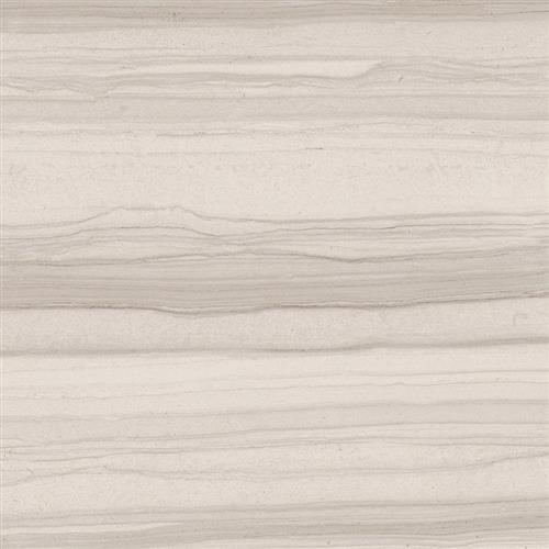 Bianco Veletta - 16x16