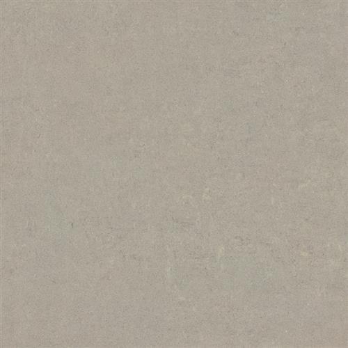 Light Grey - 12X24 Polished