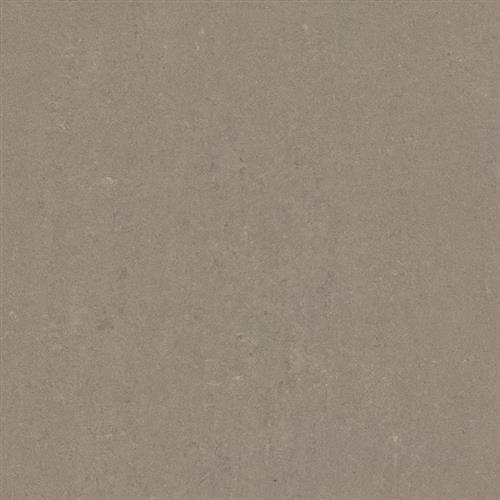 Taupe - 12X24 Matte