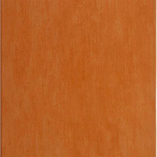 Earth Orange - 10x20