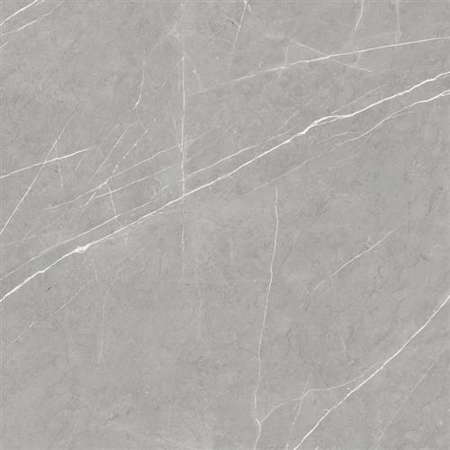 Lexington - 12x24 Polished