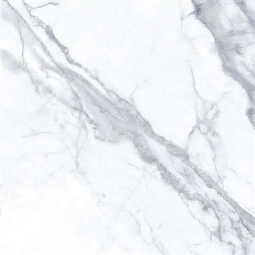 Madison - 12x24 Polished