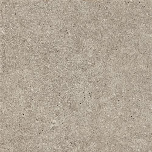 Taupe - 6X24 Semipolished