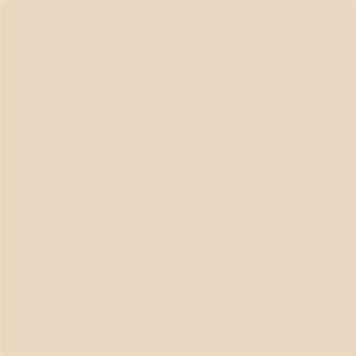 Wall Tile Collection Almond - 6X6 Matte