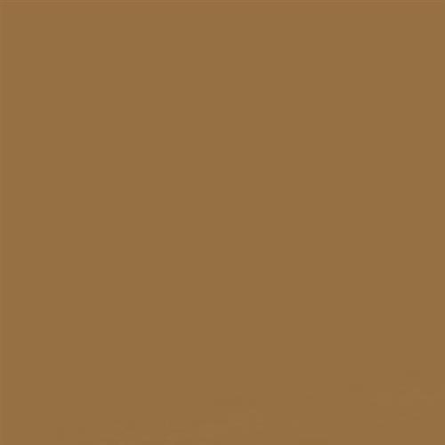 Cocoa - 2x8 Matte