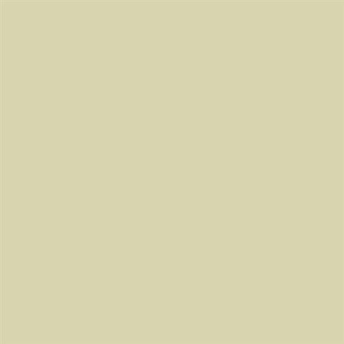 Canvas - 2x8 Matte