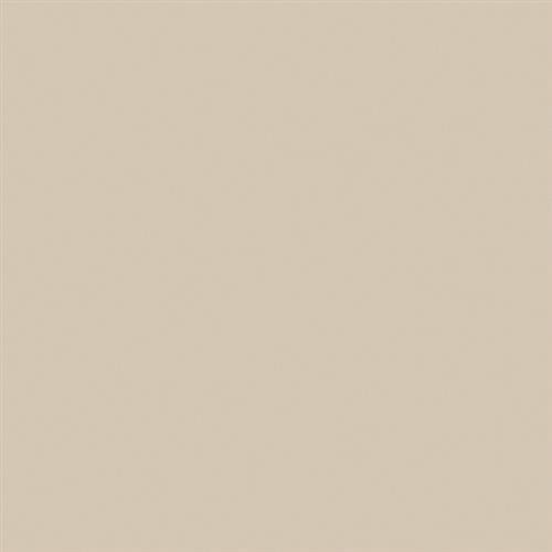 Wall Tile Collection Tender Tan - 4X12 Matte