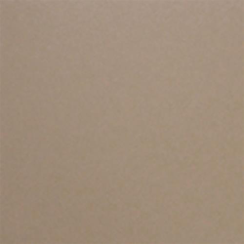 Cocoa - 8x8