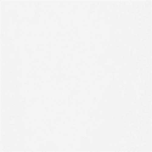 White - 12x12