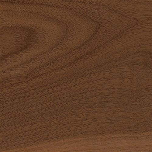 Mesa
