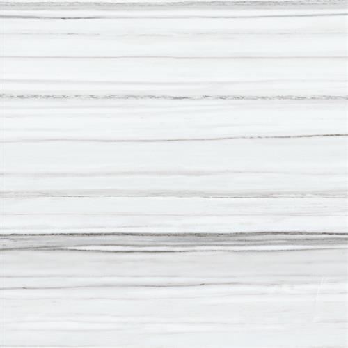 Contour Ceramic Zebrino - 12X24