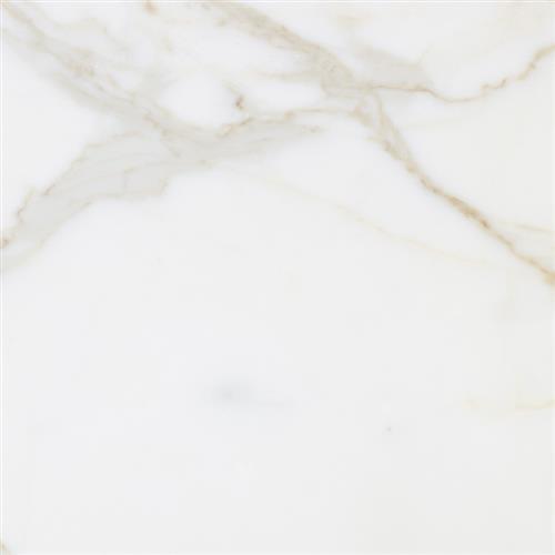 Marble Calacatta Calacatta Gold - 12X12 Polished