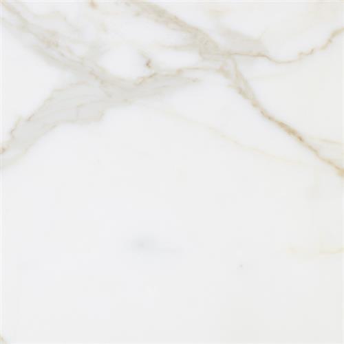 Marble Calacatta by Interceramic - Calacatta Select - 12X24 Honed