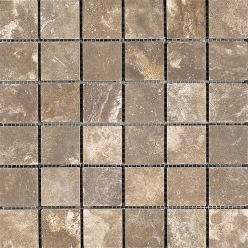 Inca Cocoa - Mosaic
