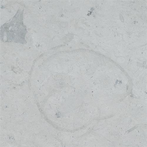  thala Gray 18x18 Honed