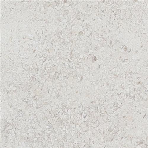 golden Beach 4x8 Suede