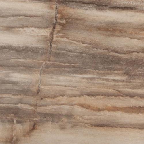 Cedar
