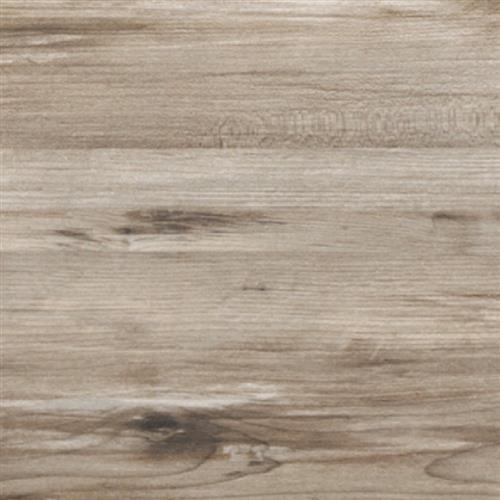 Theory Taupe 8X45